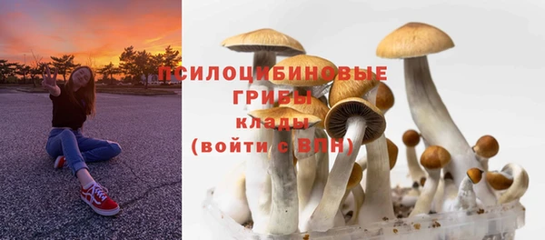 прущая мука Алзамай