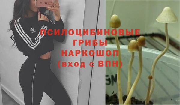 ALPHA PVP Алексеевка