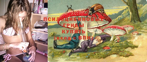 прущая мука Алзамай