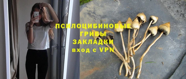 прущая мука Алзамай