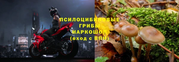 ГАЛЛЮЦИНОГЕННЫЕ ГРИБЫ Алексин